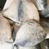 Good Taste Frozen Moon Fish