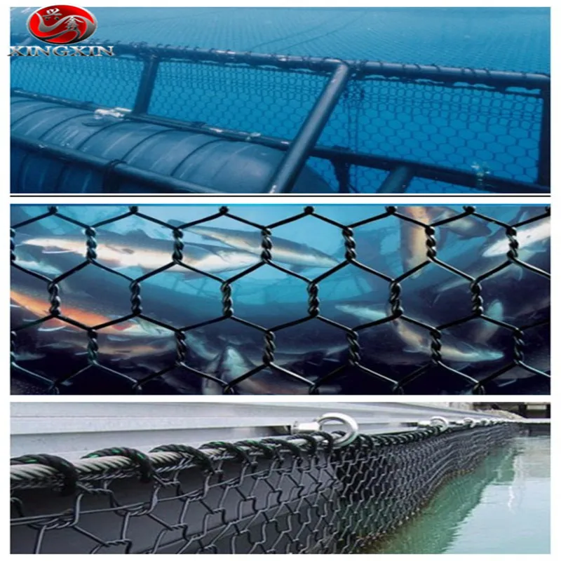 Deep-Sea Breeding Aquaculture Industry Fishing Net with Pet Wire - China  Pet Fish Cage Net and Cage Net price