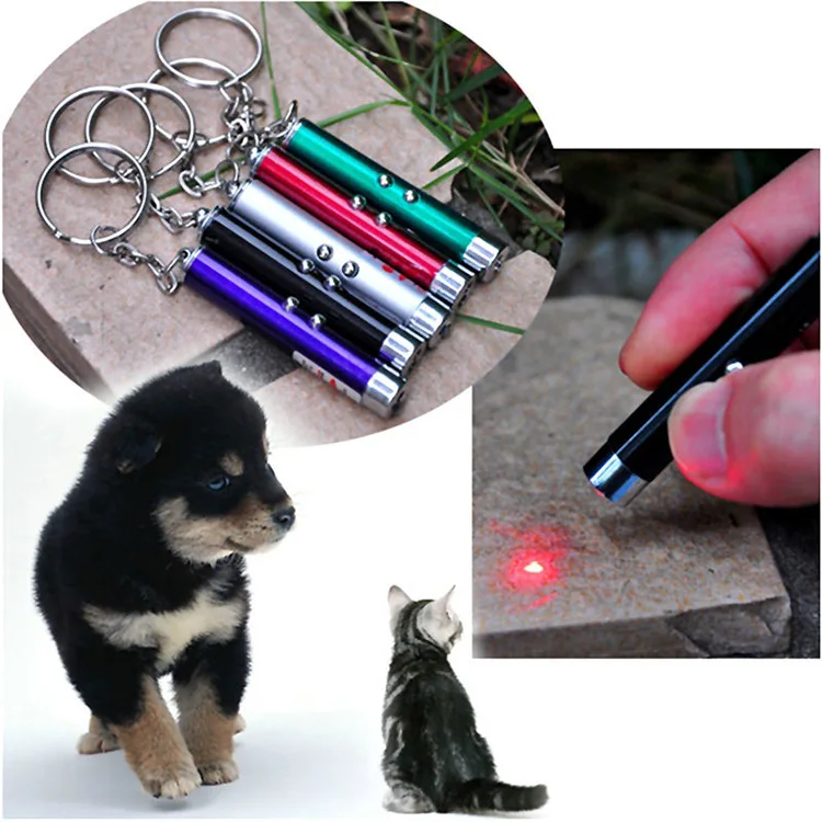 Funny 2 in 1 Red Cat Laser Pointer & White LED Light Pen Interactive Chase Toys 