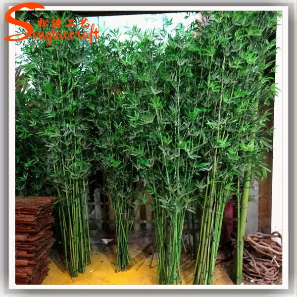 Hotels Lucky Bamboo Plants Sale Decorative Bamboo Palm Plants Wholesale
