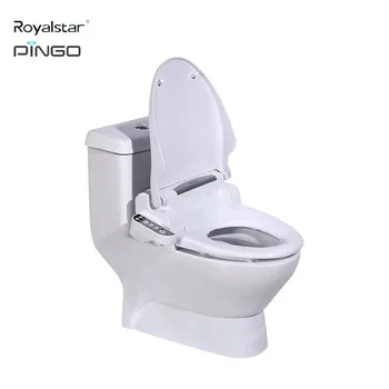 electric toilet seat
