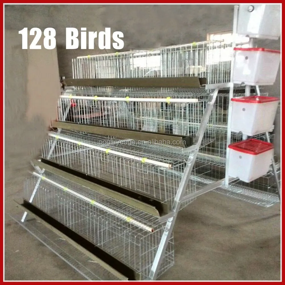 Best Sale Chicken Egg Layer Cages In South Africa - Buy Chicken Egg
