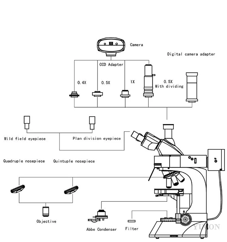 Окуляр схема. Wf16x окуляр схема. Оптическая схема окуляра wf10x. Окуляр wf10x схема расположения. Схема сборки окуляра wf16.