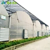 Low cost Industrial agricultural plastic film orangery greenhouse