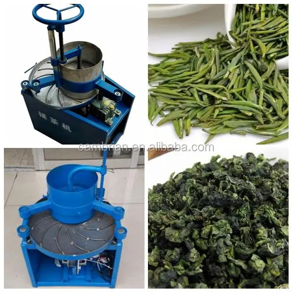 Stainless Steel Automatic Or Manual Tea Leaf Rolling Machine Green Tea