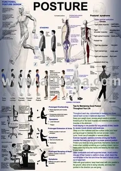 Posture Chart