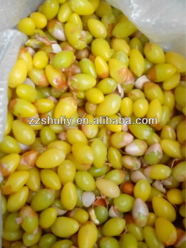 Best Quality Pistachio Nut Sheller Gingko Peeling Machine Ginkgo