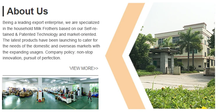 Stainless Steel Electric Frother Milk with detachable jug 