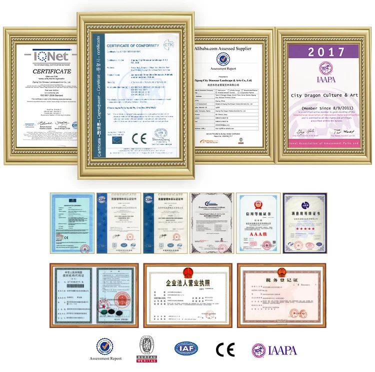 6cert