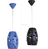 Modern black/white Color and iron Material European Style Pendant Lights (CG-156/1P)