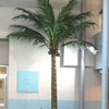 Various Artificial Giant King Coconut Tree