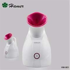 face steamer.jpg
