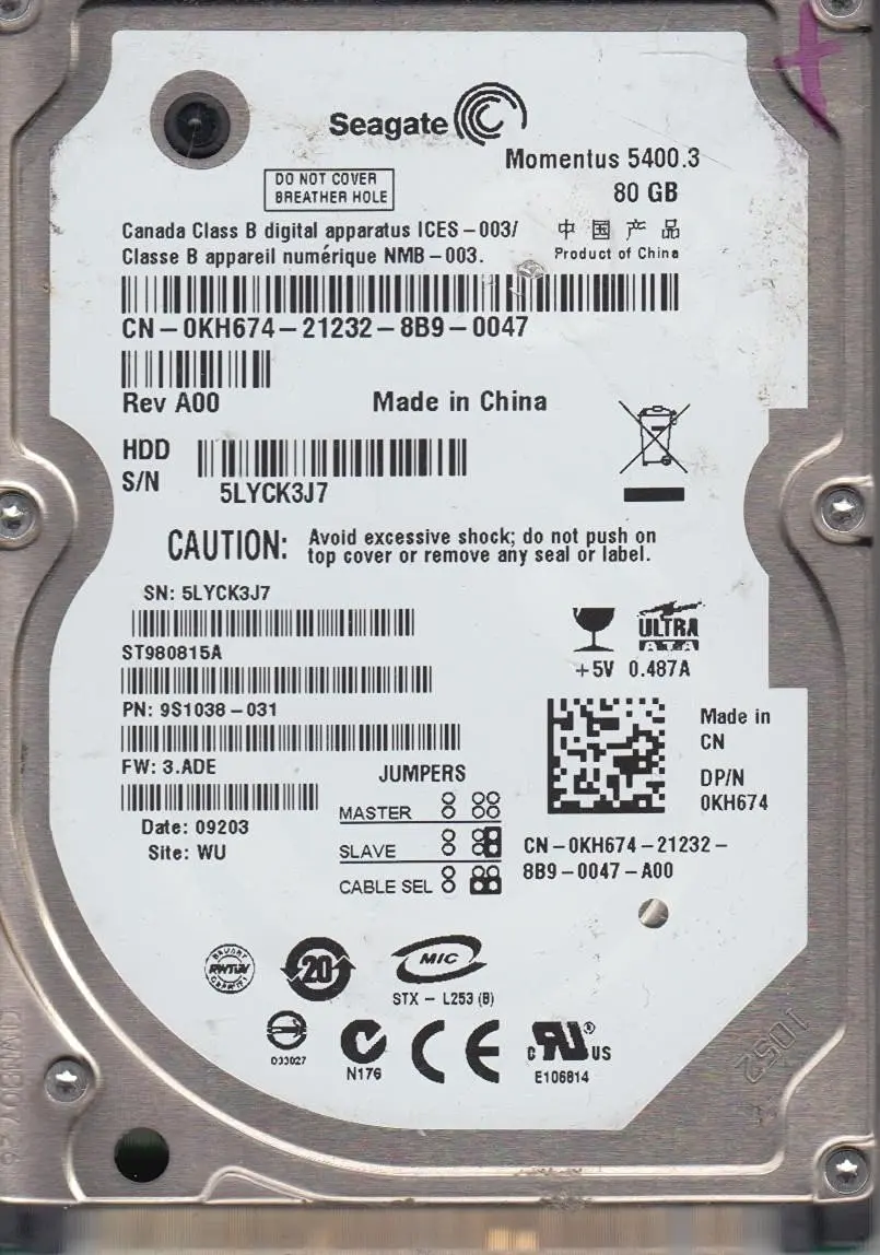 Get Quotations · Seagate ST980815A Momentus 5400.3 Ultra ATA/100 80 GB  Bulk/OEM Hard Drive