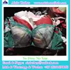 /product-detail/cheaper-ladies-used-bra-for-south-africa-60372825608.html