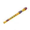 hot selling colored 10 holes kids mini flue woodwind instruments