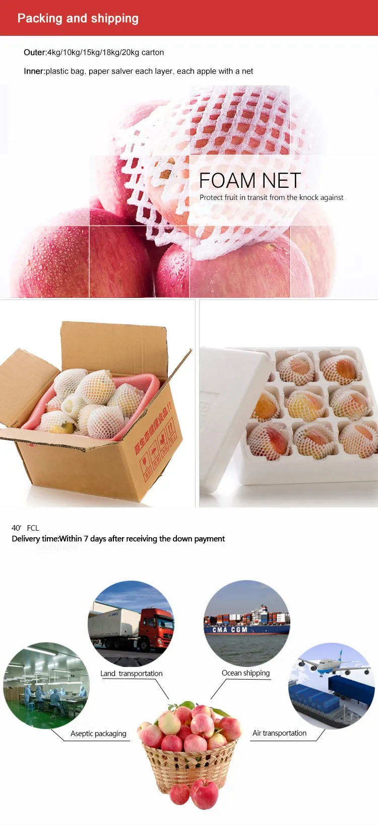 Fuji ပန်းသီးကို တရုတ်နိုင်ငံသို့ တင်ပို့ရောင်းချသည်။