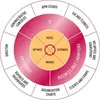 Ultimus Adaptive BPM Suite software