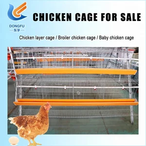 Chicken Layer Cage In India Chicken Layer Cage In India Suppliers