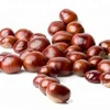 New Chestnuts/ chest nut/ chinese chestnut kernel