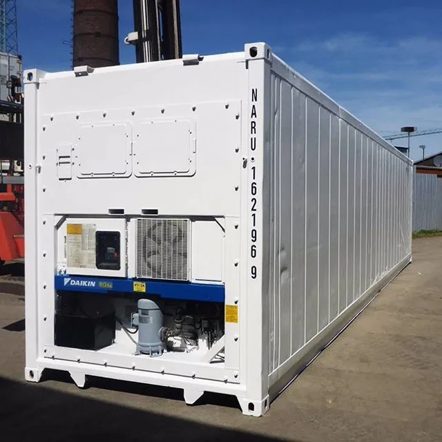 英尺冷藏集装箱出售 (20 英尺冷藏箱)