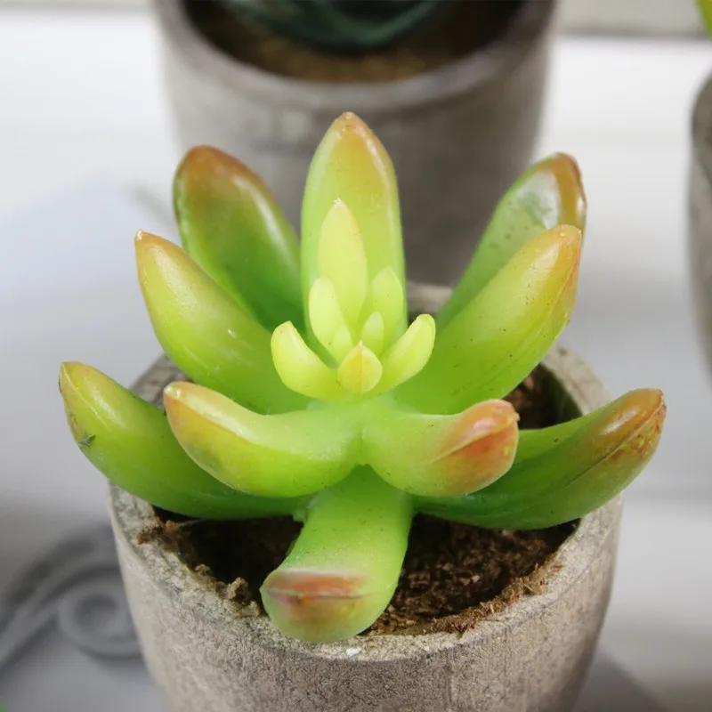 artificial succulent (4).jpg