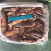 Factory direct sale frozen whole round new arrival black squid