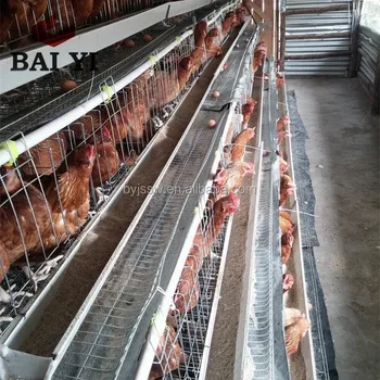Chicken Cage Layer Poultry Farm House Design,Poultry House ... Chicken Cage Layer Poultry Farm House Design,Poultry House ...