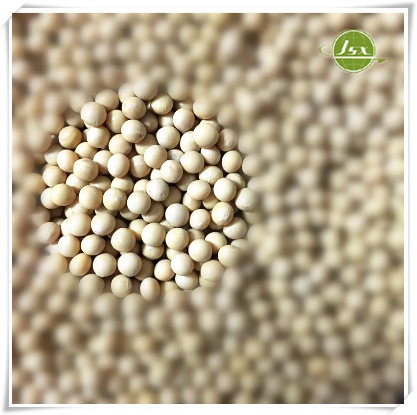 jsx high quality green mung beans specification urad dal from