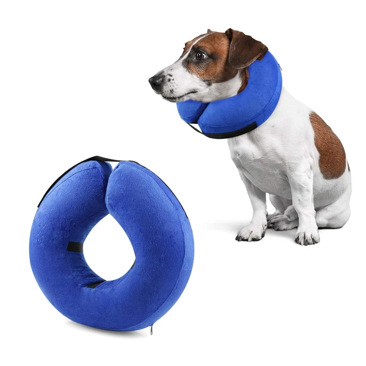 comfortable e collar