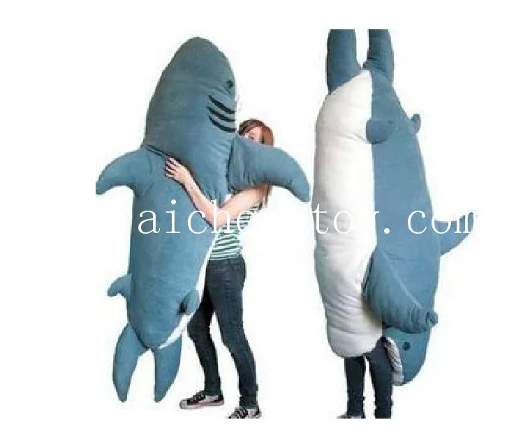 shark teddy