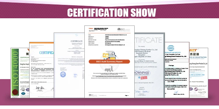 CERTIFICATION SHOW