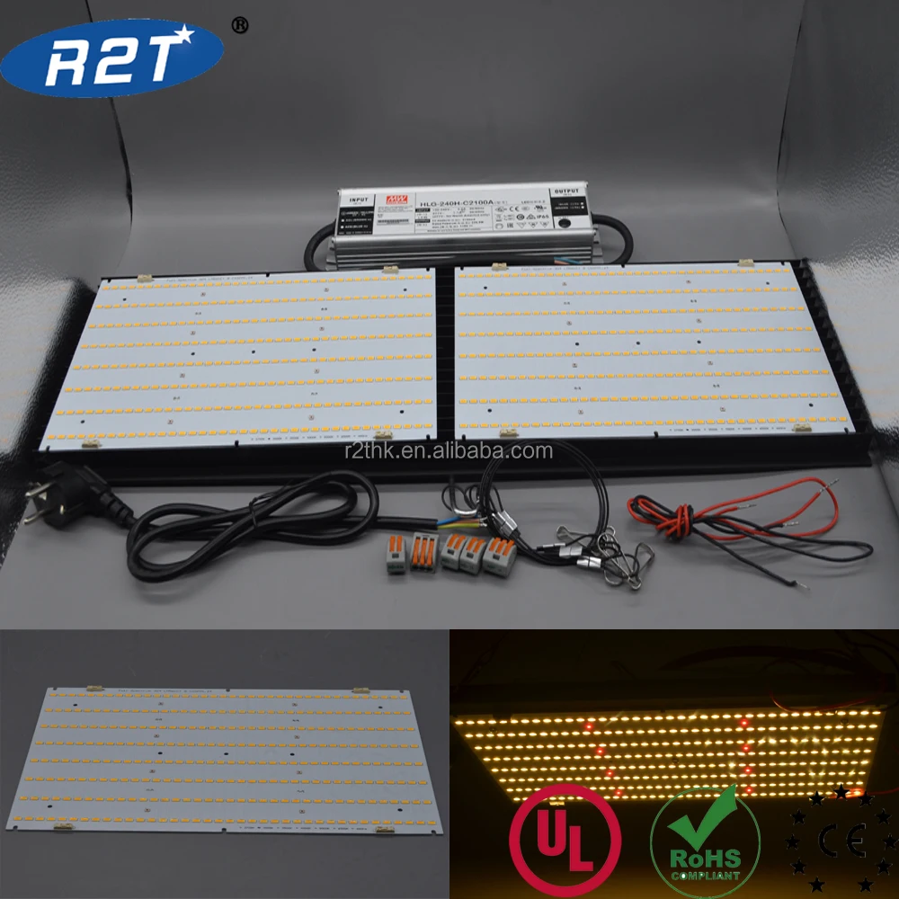 304+8LEDs 561C XPE.jpg