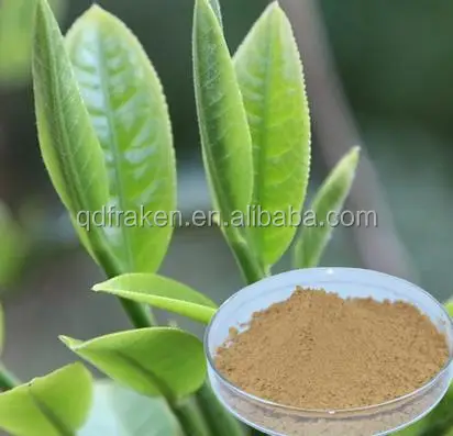 Green Tea Extract powder.jpg