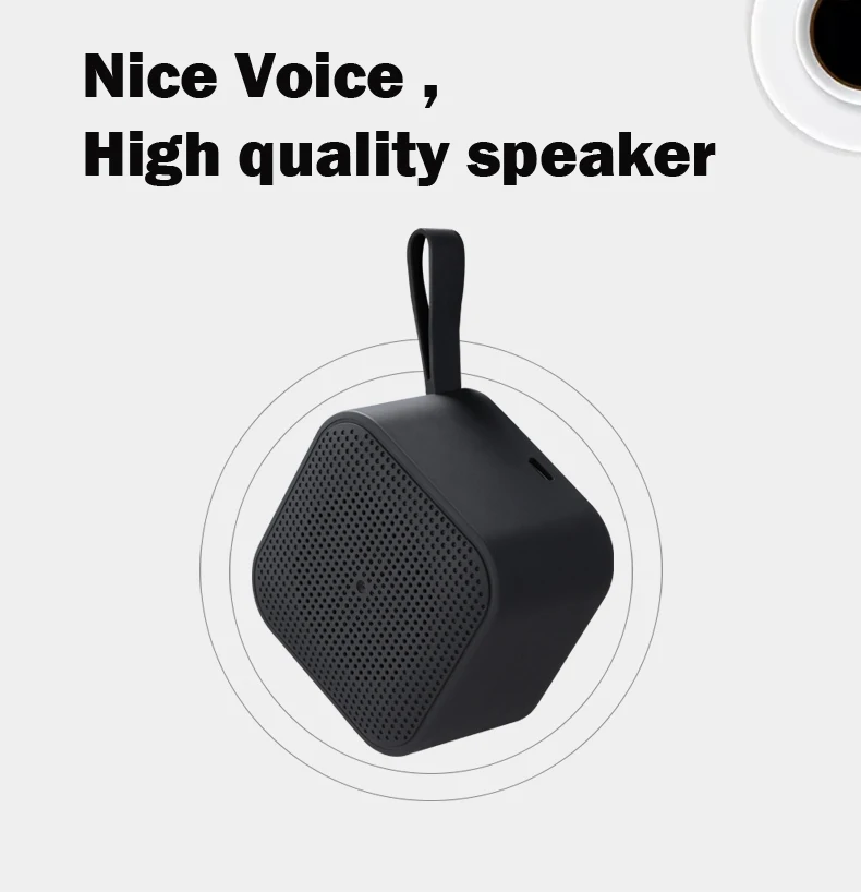 portable bluetooth speaker with replaceable battery