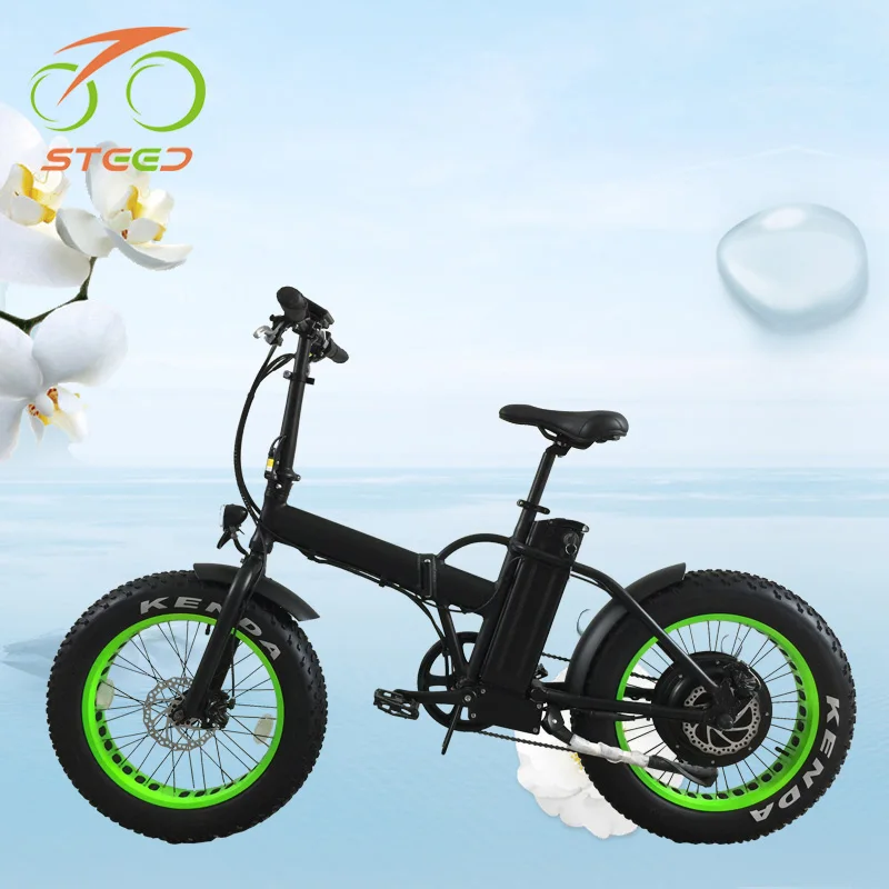 Long Range 1000w Canada Mini Fat Tire Electric Bicycle