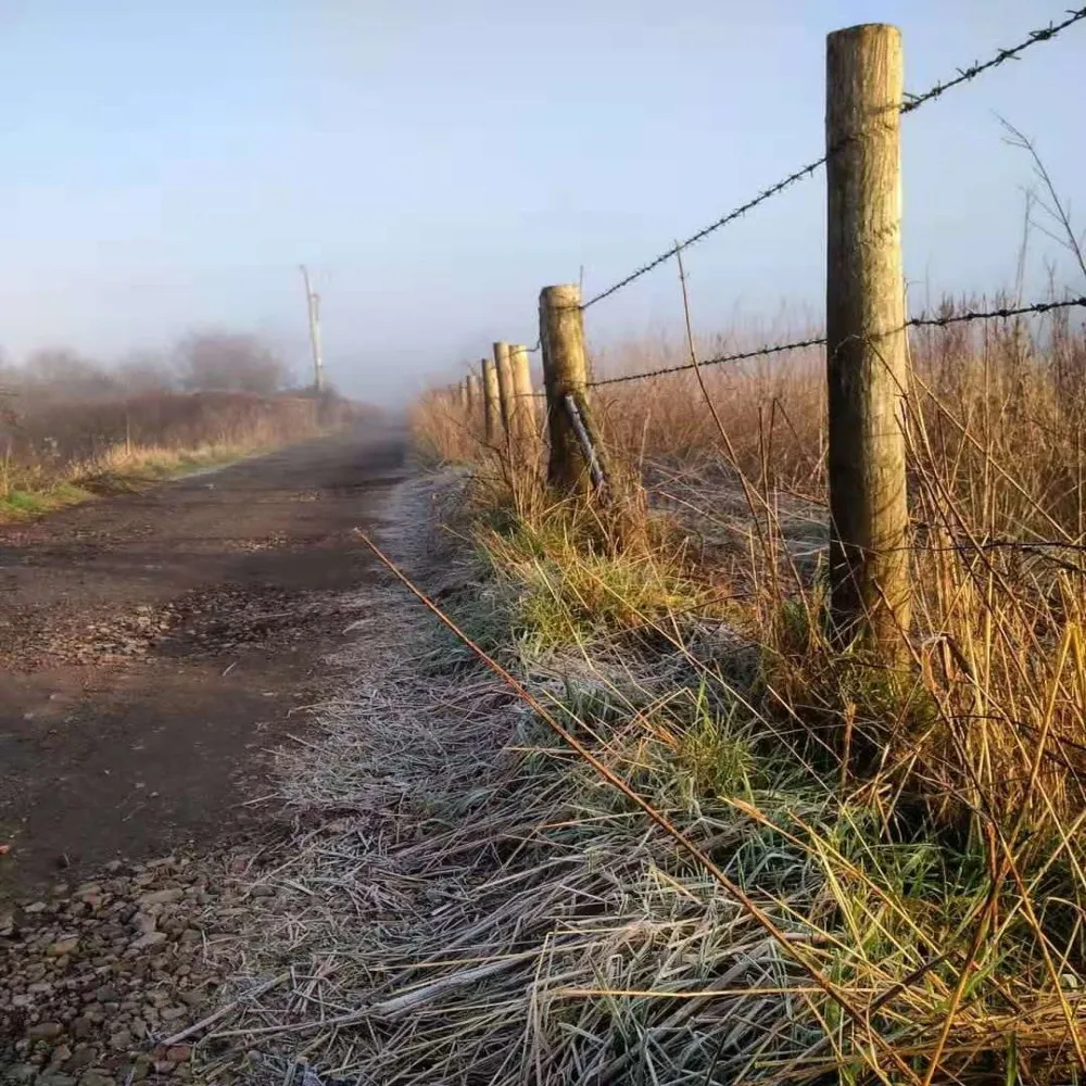 barbed wire (12)