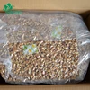 Bulk Sales Walnut Kernel Broken And Milk Dry Fruit Walnut