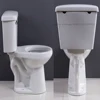 SR109A new toilet pattern wc with pump toliet 008615689156892