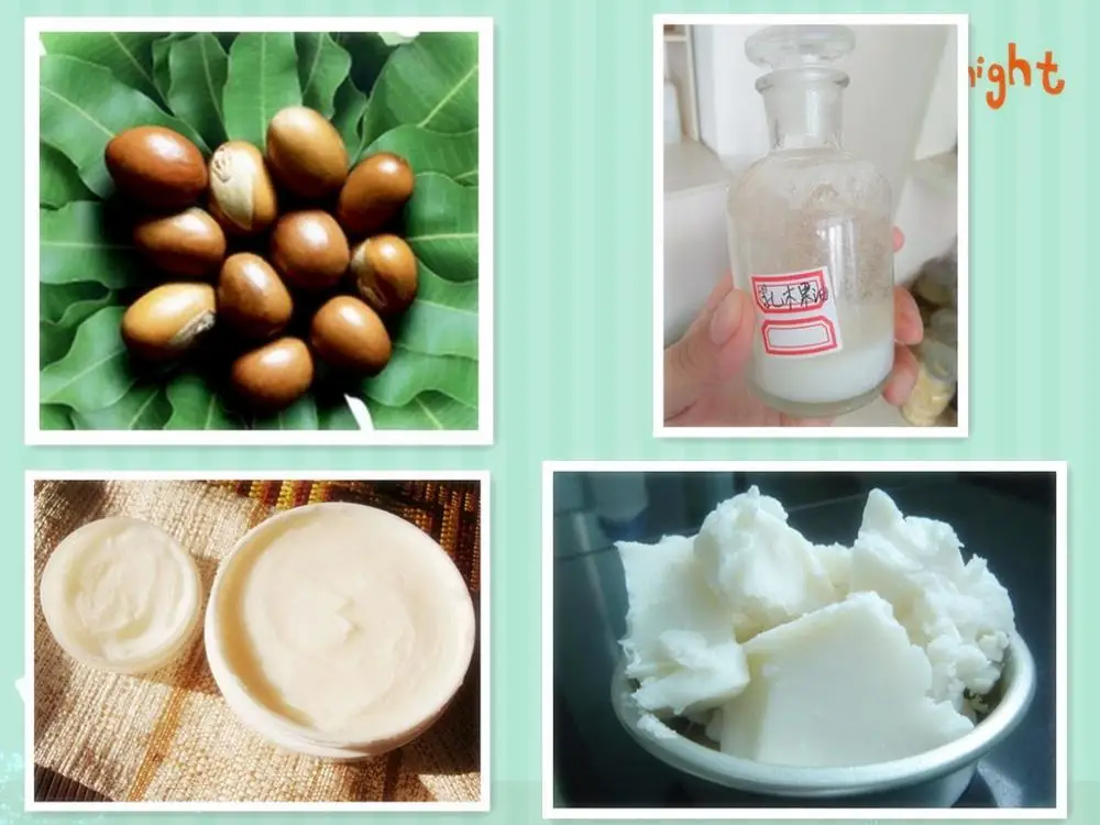 shea nut oil butter.jpg