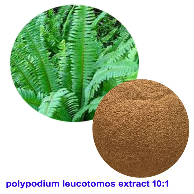 Polypodium Leucotomos (PLE) 20:1 Extract Capsules - Immune & Skin Health Supplement