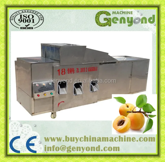 Cherry Pitting Machine / Olive Seed / Cherry Pit Removing Machine ...
