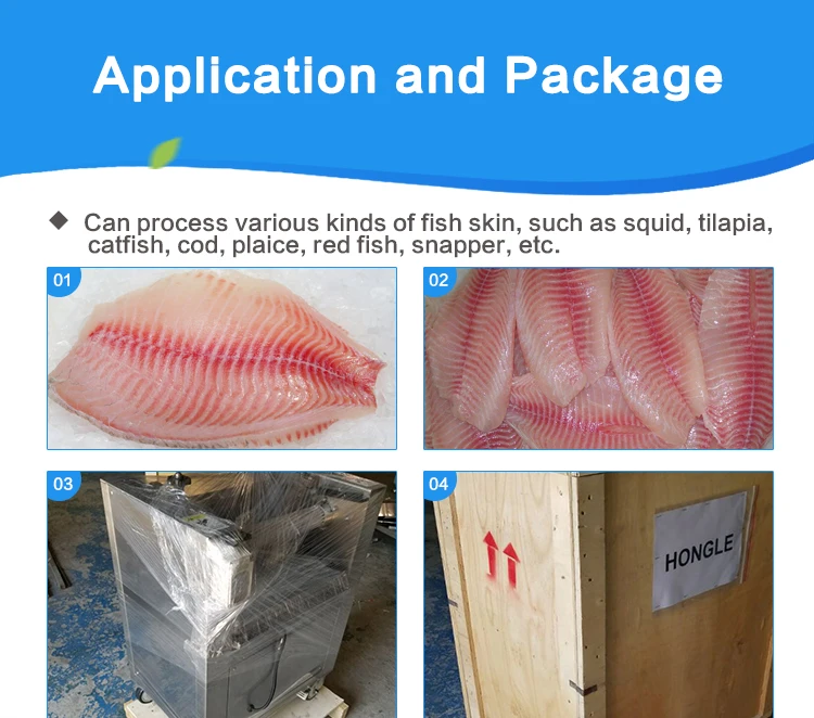 Automatic Fish Gut Removal Cleaning Gutting and Scaling Machine Fish Processing Plant manufacture