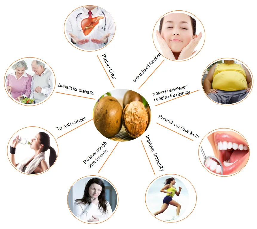 monk fruit extract 