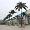Yafei mass production outdoor exterior plastic artificial date palm coconut tree