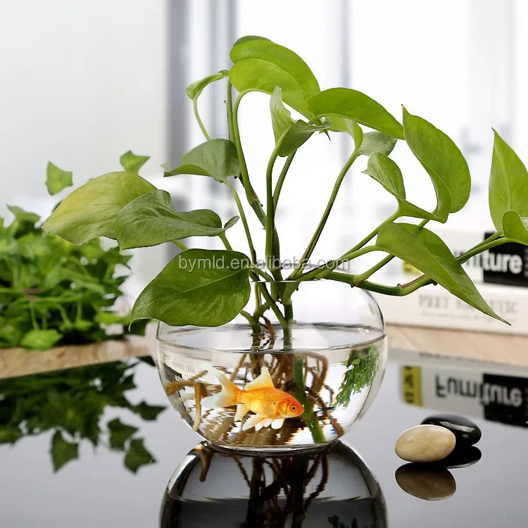 Bowl Vases Wholesale Fish Glass Creative Tabletop Vase Home Decoration