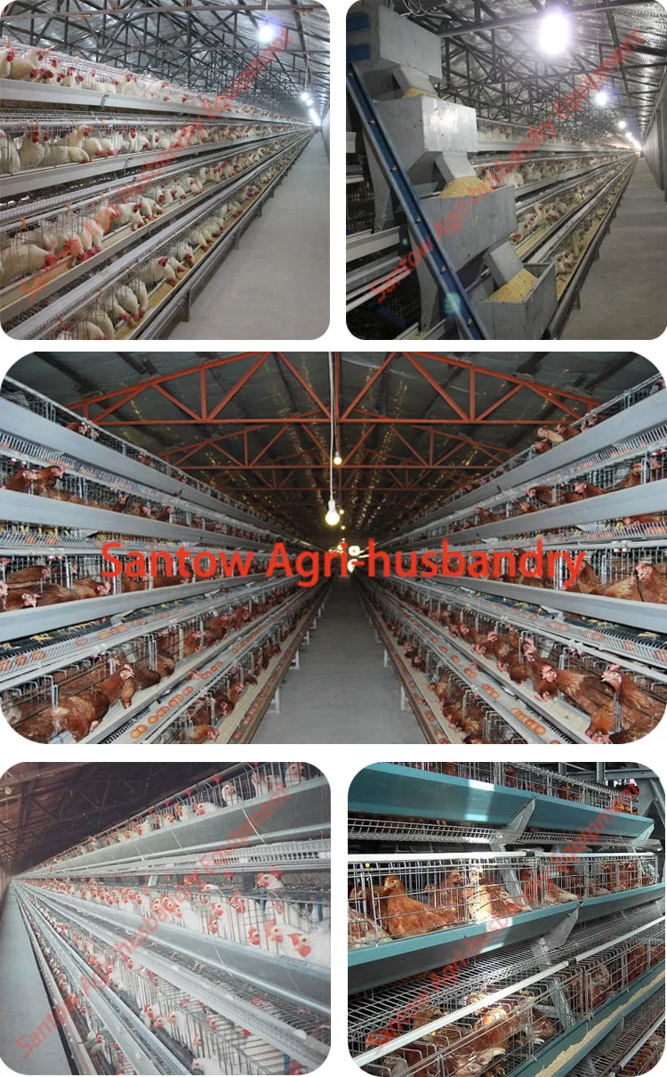 A type 4 tier chicken layer cages pigeon breeding battery cage for poultry farm