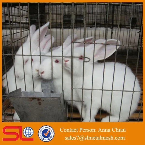 Rabbit Farming Equipment / Rabbit Farm For Sale / Cheap Rabbit Cages