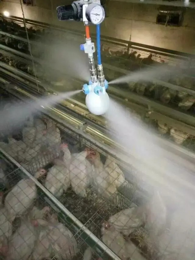 Poultry House Cage Chicken Disinfection System Buy Vaccination