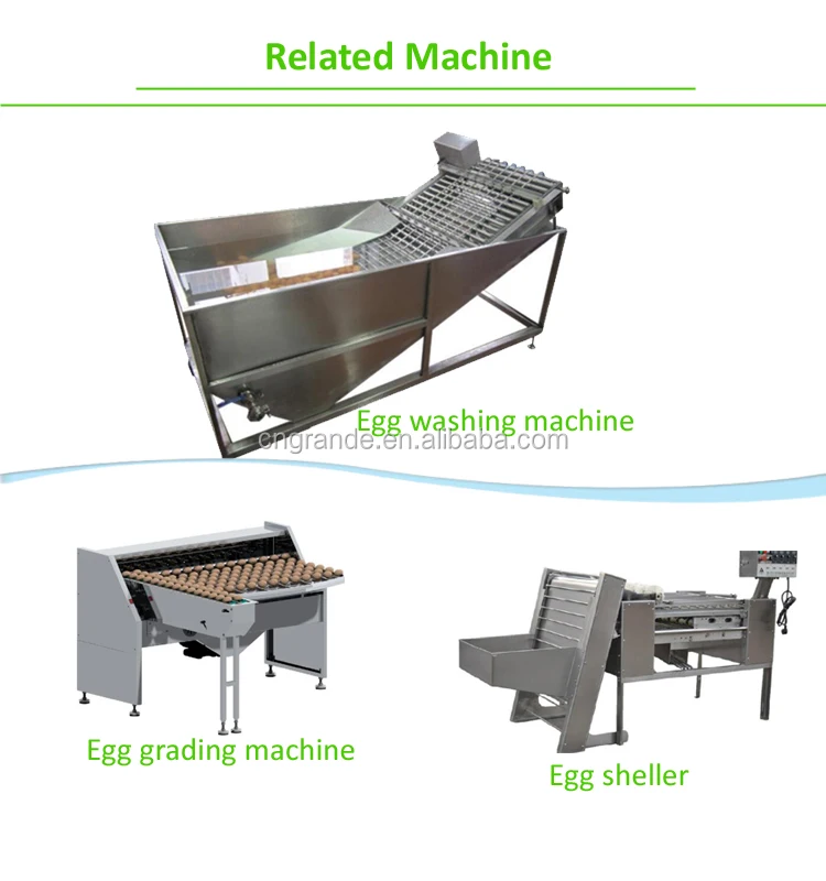 Grande Egg Cracking Machine/egg Knocking Machine/white Egg Separating