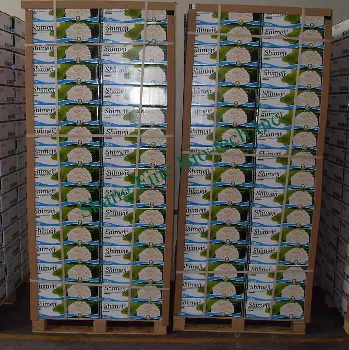 finc white shimeji-3kg